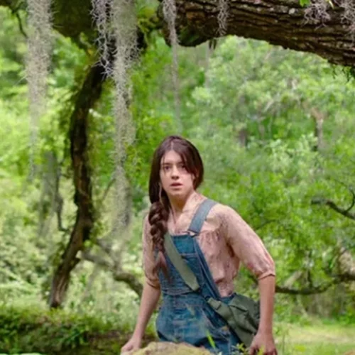 Οι "Καραβίδες", το Χόλιγουντ και η σύγχρονη αμερικανική λογοτεχνία