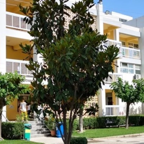 Τραγωδία στο Χαλάνδρι | Κόρη Αμερικανών διπλωματών η 15χρονη μαθήτρια που αυτοκτόνησε στο σχολείο