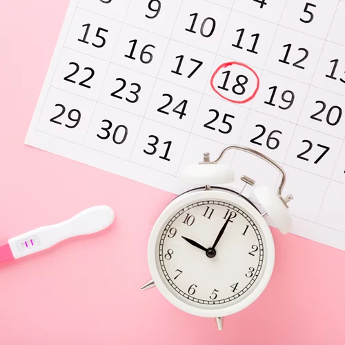 Υπολογισμός ωορρηξίας | Πόσες μέρες διαρκεί, ποια είναι τα συμπτώματα και πότε είσαι πιο γόνιμη