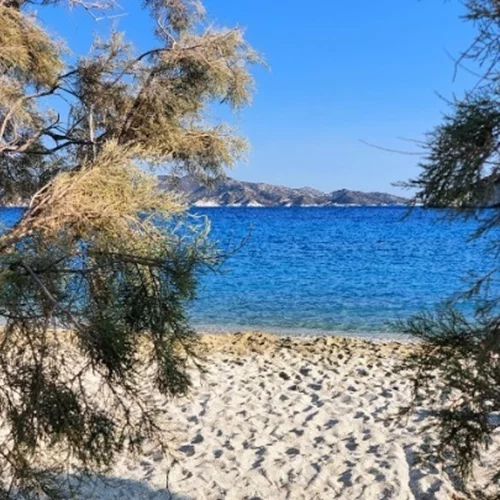 Κιμωλίστες: Η παρέα εθελοντών που αλλάζει την Κίμωλο και αναδεικνύει τη φυσική της ομορφιά - Εγιναν viral από το θερινό σινεμά