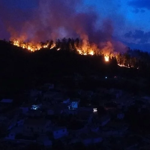 Συναγερμός στην Πυροσβεστική | Ξέσπασαν φωτιές σε Λευκάδα και Εύβοια - Ισχυρές δυνάμεις