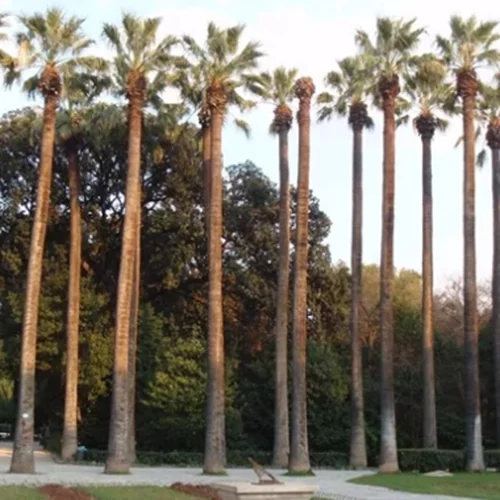 "Το Μουσείο στον Εθνικό Κήπο" γιορτάζει 10 χρόνια με δύο καλοκαιρινά προγράμματα