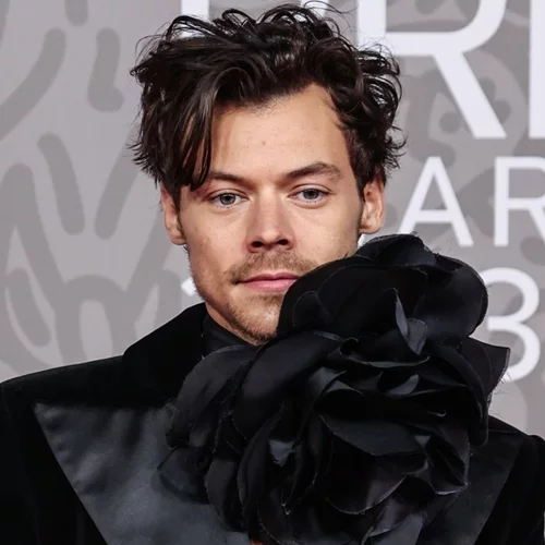 Show me the money | Ο Harry Styles είναι ο πιο πλούσιος καλλιτέχνης στη Βρετανία - Ποιοι ακολουθούν