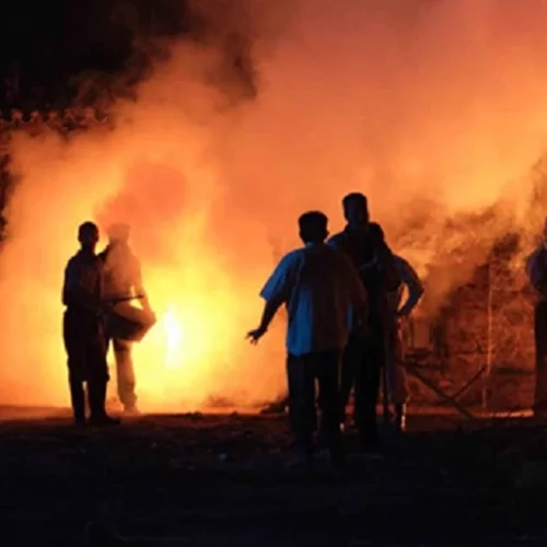 Tίτλοι τέλους για τις Άγριες Μέλισσες | Η νύχτα που το Διαφάνι βυθίζεται στο πένθος