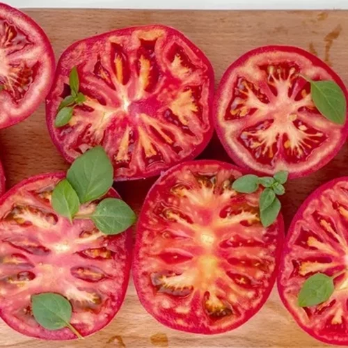 Δοκίμασες "Tomato Flight"; Η νέα καλοκαιρινή τάση που τρελαίνει το TikTok - και δεν χρειάζεται καν μαγείρεμα!