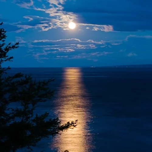 Η αληθινή ιστορία πίσω από τον βρικόλακα της Μυκόνου