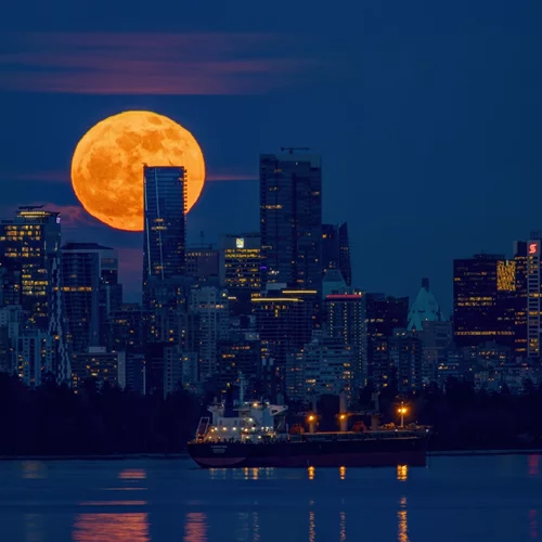 Εκρηκτική πανσέληνος στον Λέοντα στις 12 Φεβρουαρίου 2025 | 4 ζώδια θα πρέπει να προσέξουν