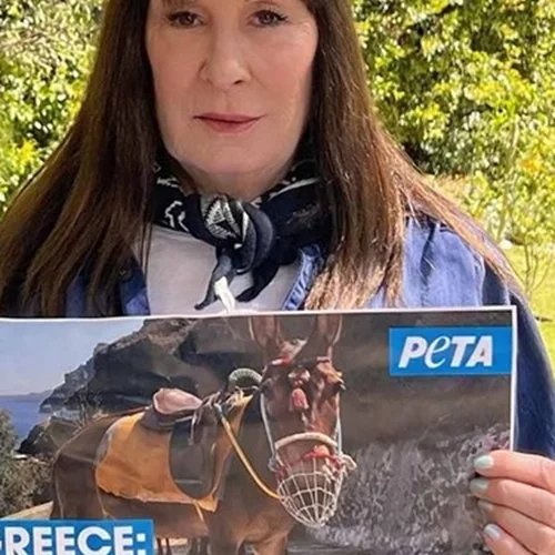 Αnjelica Huston | " Aπαγορεύστε αμέσως κάθε μεταφορά τουριστών με γαϊδουράκια"