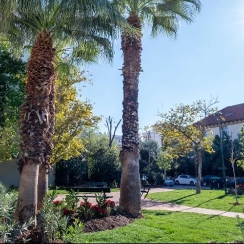 Τα Άνω Πατήσια απέκτησαν το δικό τους "πάρκο τσέπης"