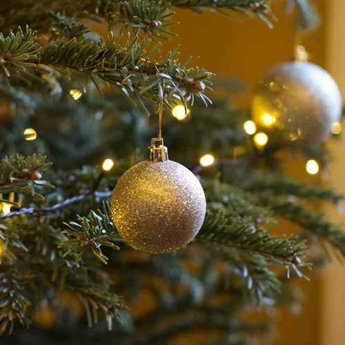 Τα ζώδια σήμερα 12/12 | Ημερήσιες προβλέψεις για κάθε ζώδιo