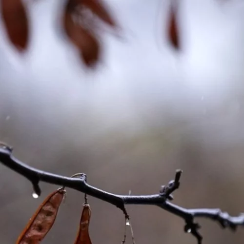 Αίθριος καιρός σήμερα με μικρή πτώση θερμοκρασία - Πού θα σημειωθούν τοπικές βροχές