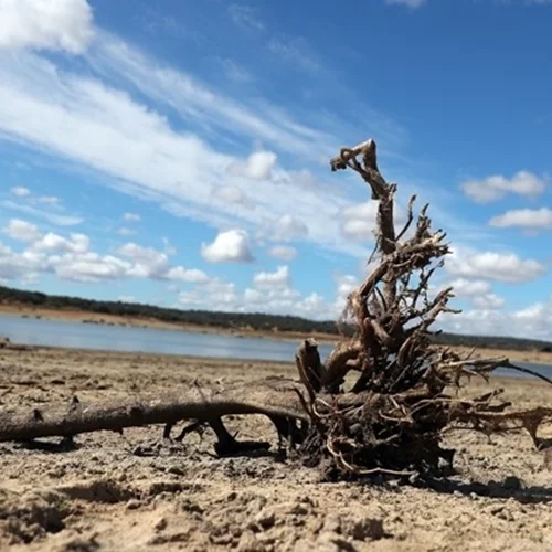 Στο υψηλότερο επίπεδο όλων των εποχών ο ρυθμός της προκληθείσας από τον άνθρωπο υπερθέρμανσης του πλανήτη