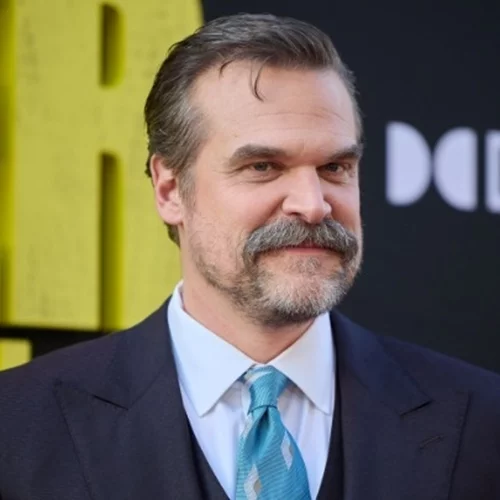 Ο Ντέιβιντ Χάρμπορ είναι χαρούμενος που φτάνει το τέλος του "Stranger Things"