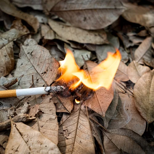 Πολιτική Προστασία | Πού σημειώνεται υψηλός κίνδυνος πυρκαγιάς σήμερα, Παρασκευή