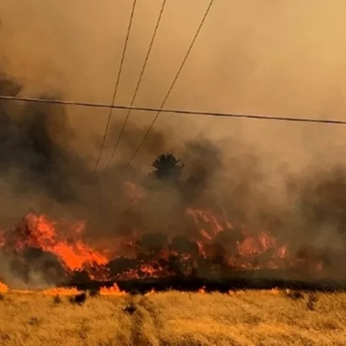 Φωτιές στη Ρόδο | Ένα ζευγάρι τουριστών από τη Σουηδία περιγράφει την εμπειρία του