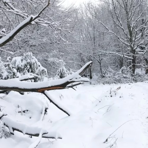 Καιρός | Έρχεται πολική κακοκαιρία με τσουχτερό κρύο και πτώση της θερμοκρασίας - Ποιες περιοχές θα ντυθούν στα λευκά