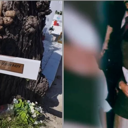 Η συμβολαιογράφος αποκαλύπτει | Η σπιτονοικοκυρά ήθελε να γράψει το σπίτι στη Τζωρτζίνα, δεν εμπιστευόταν τον Δασκαλάκη