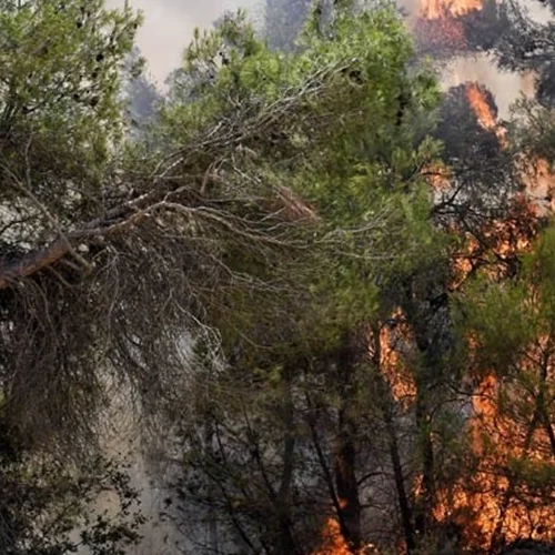 Η συχνότητα και το μέγεθος των ακραίων δασικών πυρκαγιών έχουν διπλασιαστεί τα τελευταία 20 χρόνια