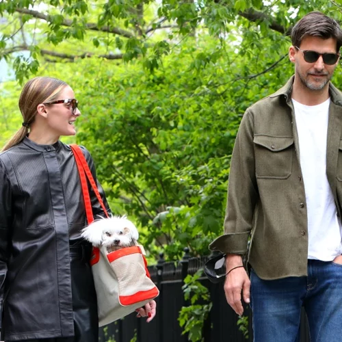 Dog Lovers | Τα αγαπημένα κατοικίδια των celebrities