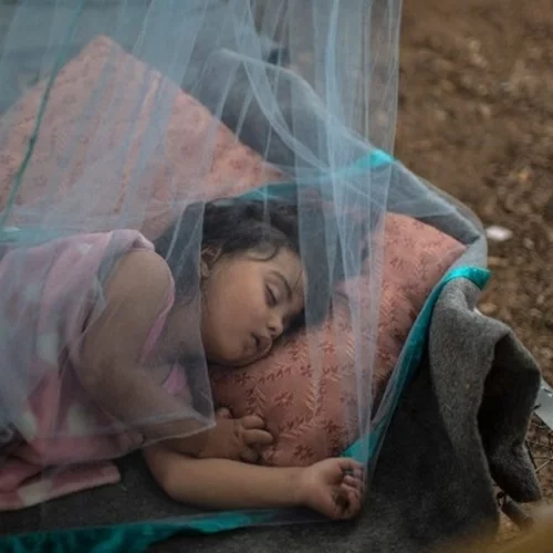 Έκθεση φωτογραφίας | Επιβίωση σε καιρό πολέμων