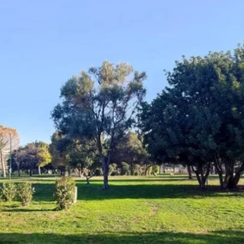 Τα δωρεάν της εβδομάδας | Urban πικνίκ στην Ακαδημία Πλάτωνος