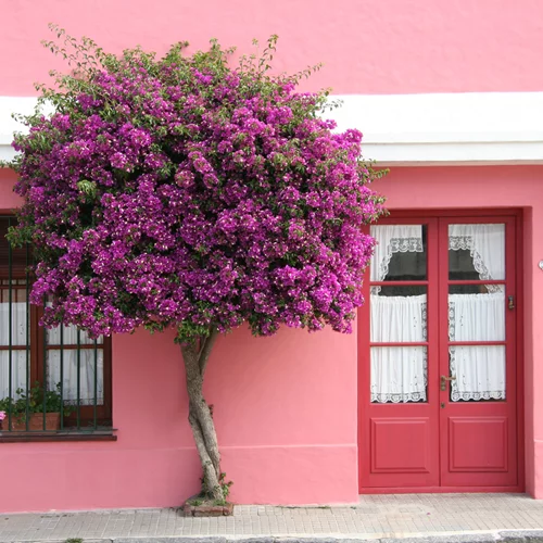 Κατάργηση φόρου γονικών παροχών από 1ης Οκτωβρίου | Πόσα γλιτώνουν οι γονείς στις μεταβιβάσεις- Αναλυτικά παραδείγματα