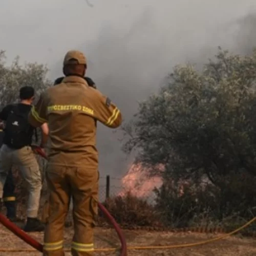 Μάχη με τις φλόγες σε Βοιωτία, Εύβοια, Καβάλα, Κύθνο - Οι εξελίξεις σε όλα τα μέτωπα