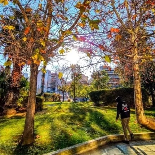 Καιρός | Σε υψηλά για την εποχή επίπεδα η θερμοκρασία - "Με αλκυονίδες ημέρες θα υποδεχτούμε τον Φλεβάρη"