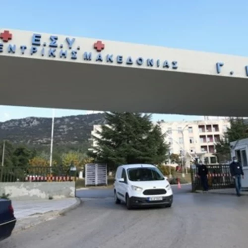 Θεσσαλονίκη | Μάχη για τη ζωή της δίνει η ερπετολόγος μετά το δάγκωμα της οχιάς - Πώς έγινε το ατύχημα