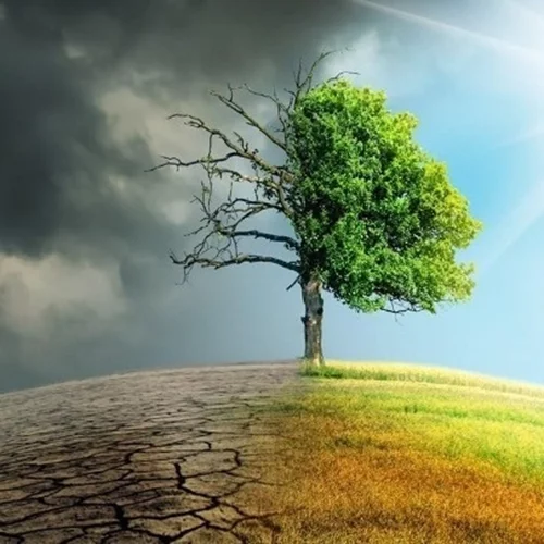 Κλιματική Αλλαγή | Το ΕΔΔΑ ανακοινώνει σήμερα τις πολυαναμενόμενες αποφάσεις του σε τρεις υποθέσεις