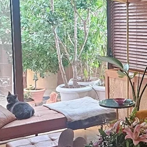 Κι όμως δεν είναι στο Μπαλί αλλά στην καρδιά της Αθήνας | Το εξωτικό διαμέρισμα της Νατάσας Μποφίλιου