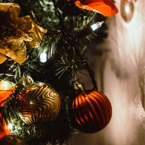 Τα ζώδια σήμερα 13/12 | Ημερήσιες προβλέψεις για κάθε ζώδιo