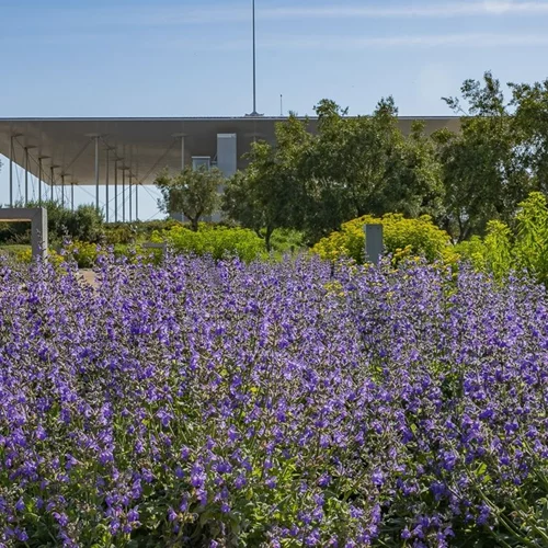 Πρωτομαγιά στο ΚΠΙΣΝ | Συναυλία με τους Sakaraka Orchestra και δραστηριότητες για παιδιά στο Πάρκο Σταύρος Νιάρχος