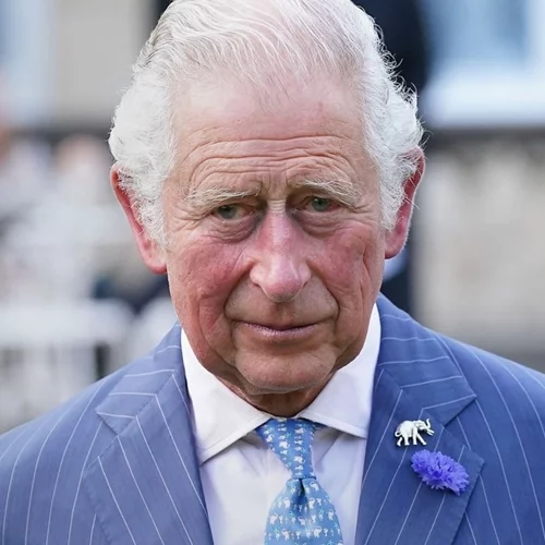 Ο βασιλιάς Κάρολος κάνει μεγάλη παραδοχή για το ταξίδι του καρκίνου μετά το σχόλιο του Harry