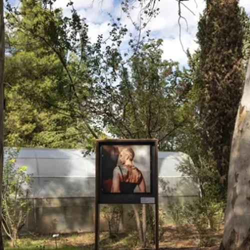 "Sheltered Gardens" | Ένα καταφύγιο τέχνης στον άγνωστο στους πολλούς Βοτανικό Κήπο Διομήδους μας βγάζει από τα περιοριστικά πλαίσια της ταυτότητας