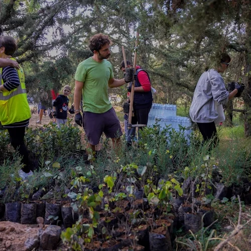 ΒΙΚΟΣ Α.Ε.: Βοηθώντας το περιβάλλον στην πράξη