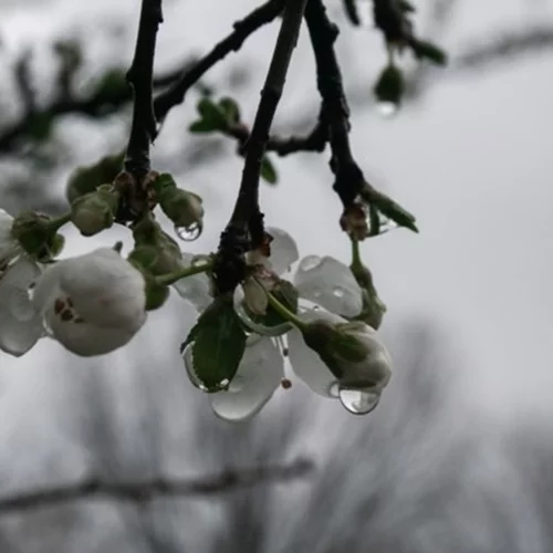 Καιρός | Βροχές και καταιγίδες σήμερα στο μεγαλύτερο μέρος της χώρας - Εως 23 βαθμούς ο υδράργυρος