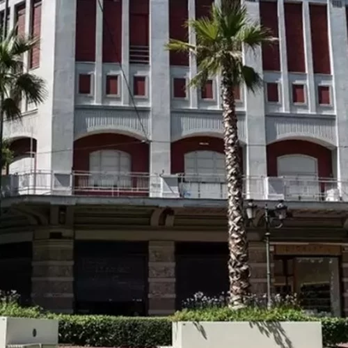 Απομακρύνονται οι φοίνικες από την Πανεπιστημίου - Θα μπουν πλατάνια στη θέση τους