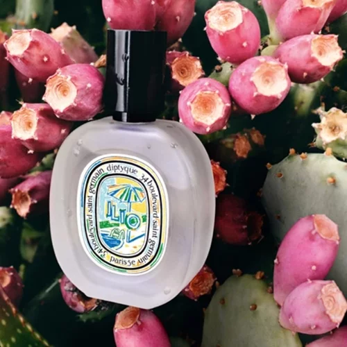 Μεσογειακός Ήλιος | Τα αρώματα που θα σας συνοδεύουν όλο το καλοκαίρι