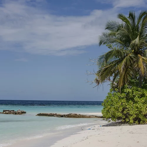 Αυτή είναι η εξωτική παραλία της Κρήτης, που θυμίζει Καραϊβική!