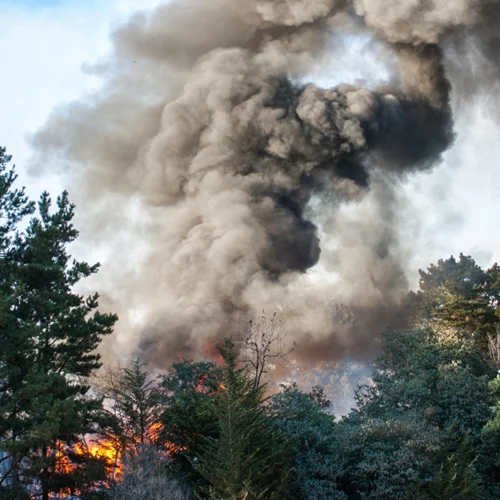 Νέα φωτιά στη Εύβοια: Ξέσπασε σε δασική έκταση στις Πετριές - Πνέουν ισχυροί άνεμοι [εικόνες]