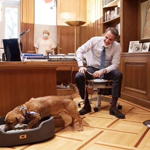 Στο Μαξίμου ο Πίνατ, το αδέσποτο που υιοθέτησε ο πρωθυπουργός