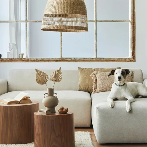 5 must have κομμάτια από τη Zara Home για το κατοικίδιό σου