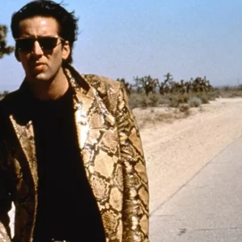 Οι καλύτερες ταινίες που παίζουν τώρα τα σινεμά (5-11/12)