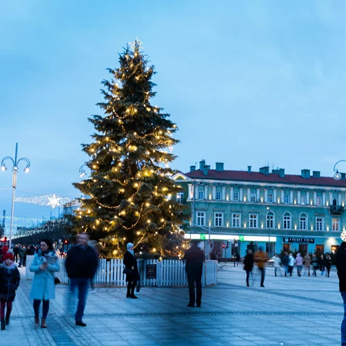Τα ζώδια σήμερα 23/12 | Ημερήσιες προβλέψεις για κάθε ζώδιo