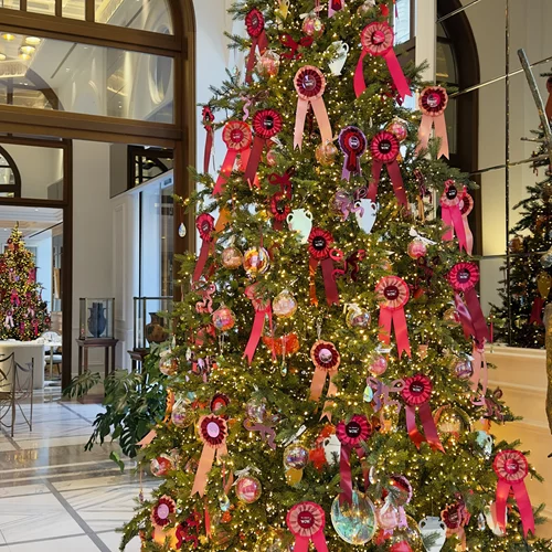 To Τhe Dolli σε περιμένει για τις πιο WOW γιορτές