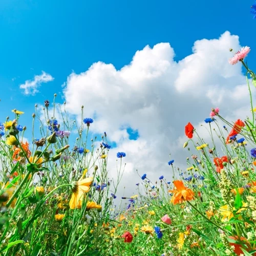 Εορτολόγιο | Ποιος γιορτάζει σήμερα Κυριακή του Πάσχα - Μεγάλη γιορτή