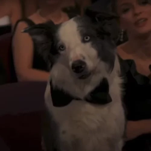 Όσκαρ 2024  Ο καλύτερος ηθοποιός του 2023 ήταν ξεκάθαρα ο Μessi και δικαίως προσκλήθηκε στα Oscar