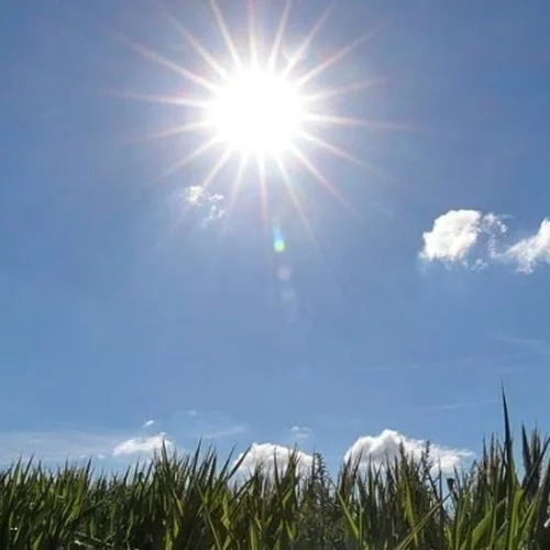 Με άνοδο της θερμοκρασίας μπαίνει ο Δεκέμβριος - Ανοιξιάτικος ο καιρός το Σαββατοκύριακο