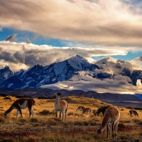 8 θαύματα της φύσης που πρέπει να δεις από κοντά στη ζωή σου